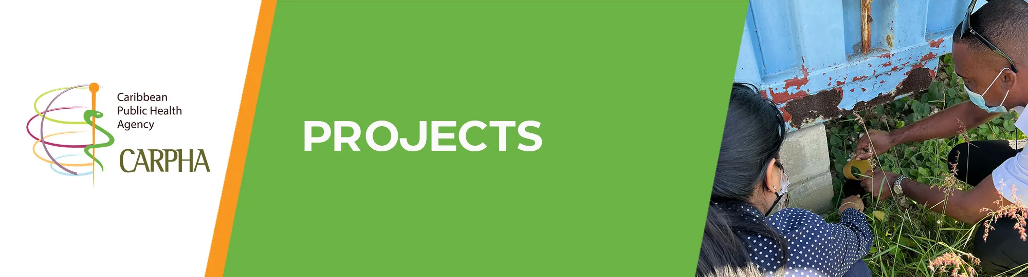 Projects