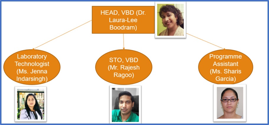 VBD Staff Structure